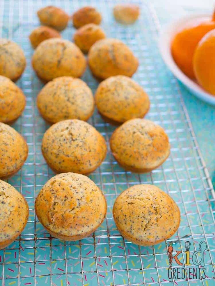 These orange and poppyseed mini cakes with hidden chia are fab in the lunchbox and easy to make. The recipe makes a whopping 36 mini cakes or 12 large and 12 mini. Super kid friendly.