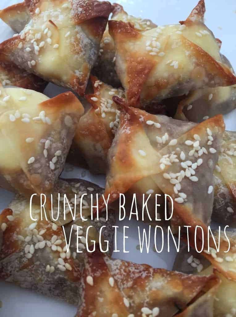 crunchr baked veggie wontons