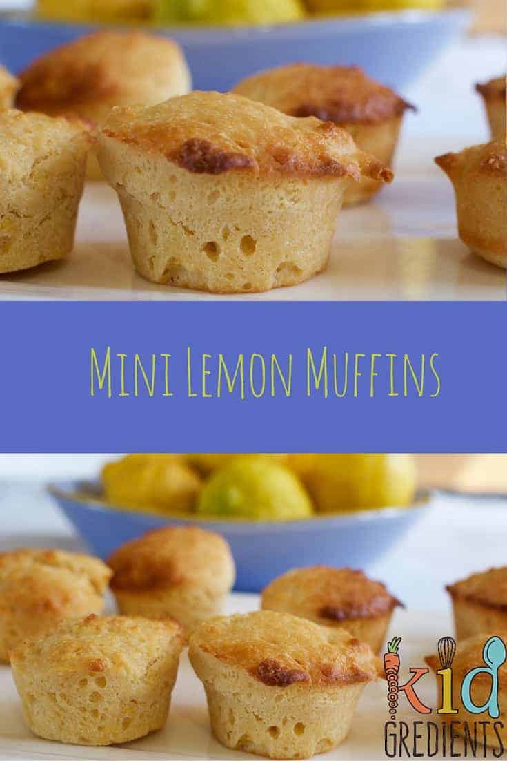 Mini Lemon Muffins, freezable, lunchbox friendly, and oh so yum!