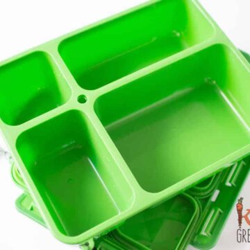 go green medium lunchbox review