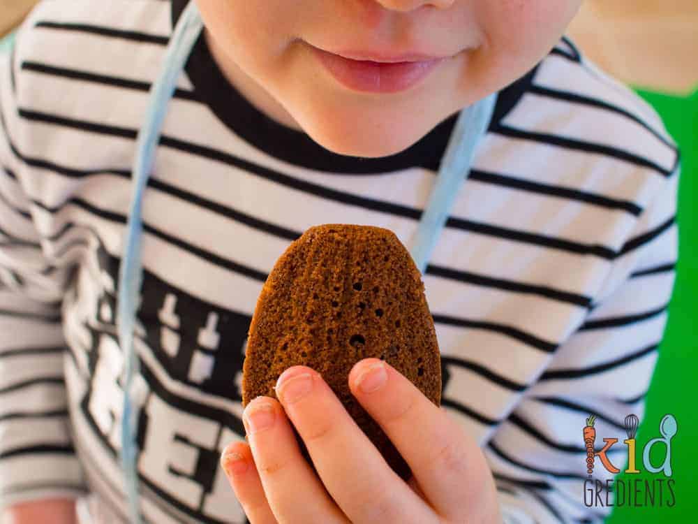 Low sugar chocolate madeleines, the perfect combo of cake and biscuit, delicious with coffee, perfect in the lunchbox! Freezer friendly and extra kid friendly easy to make recipe. #recipe #kidsfood #madeleines #snack