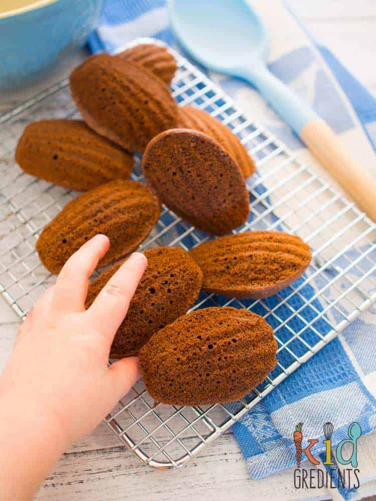 Low sugar chocolate madeleines, the perfect combo of cake and biscuit, delicious with coffee, perfect in the lunchbox! Freezer friendly and extra kid friendly easy to make recipe. #recipe #kidsfood #madeleines #snack