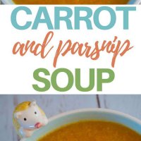 carrot and parsnip soup