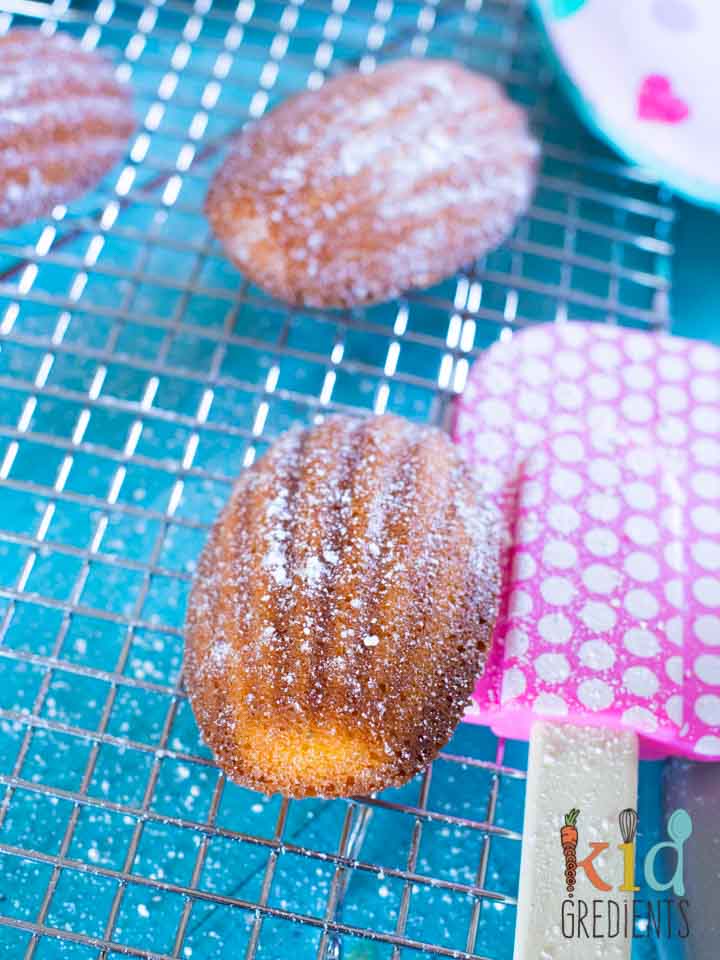 meon madeleines with spatula on cooling rack