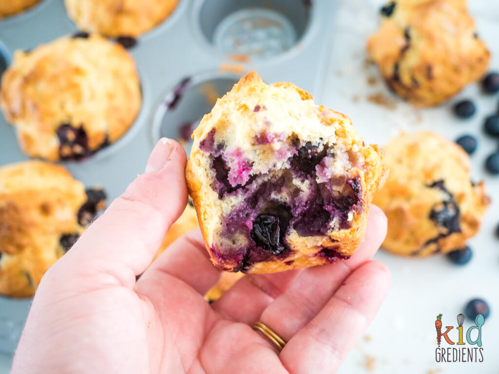 bluberry muffin broken open over a muffin pan