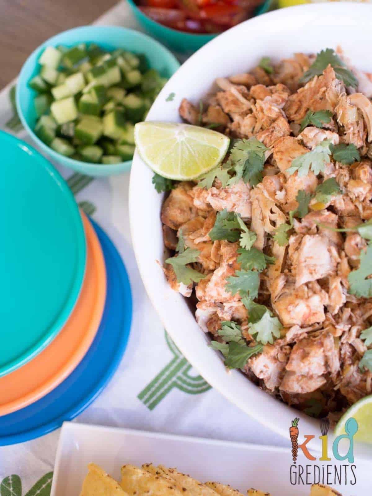 Shredded mexican Chicken Thighs 