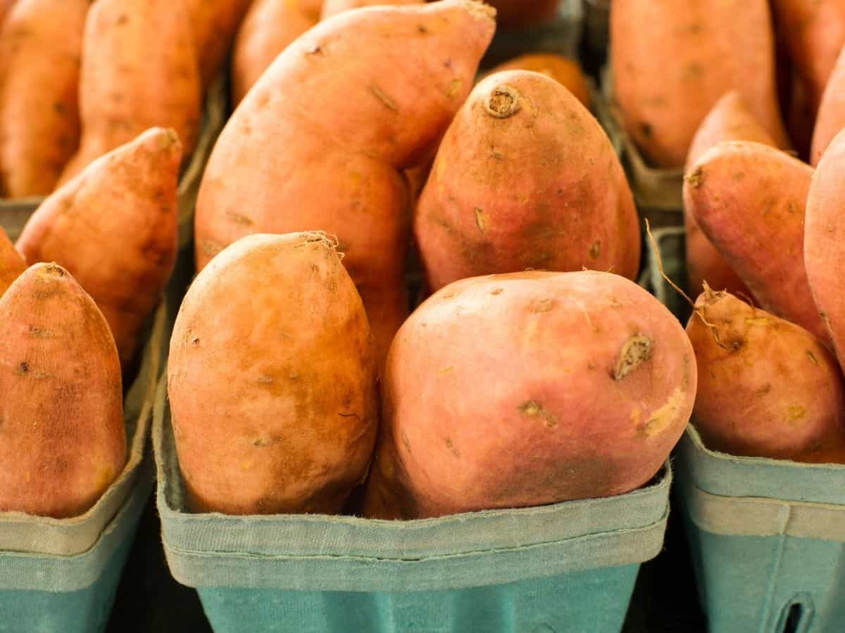 sweet potatoes in baskets