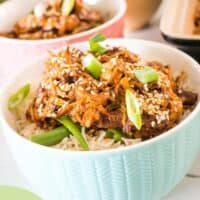 asian pulled pork in bowls with sesame seeds and spring onions