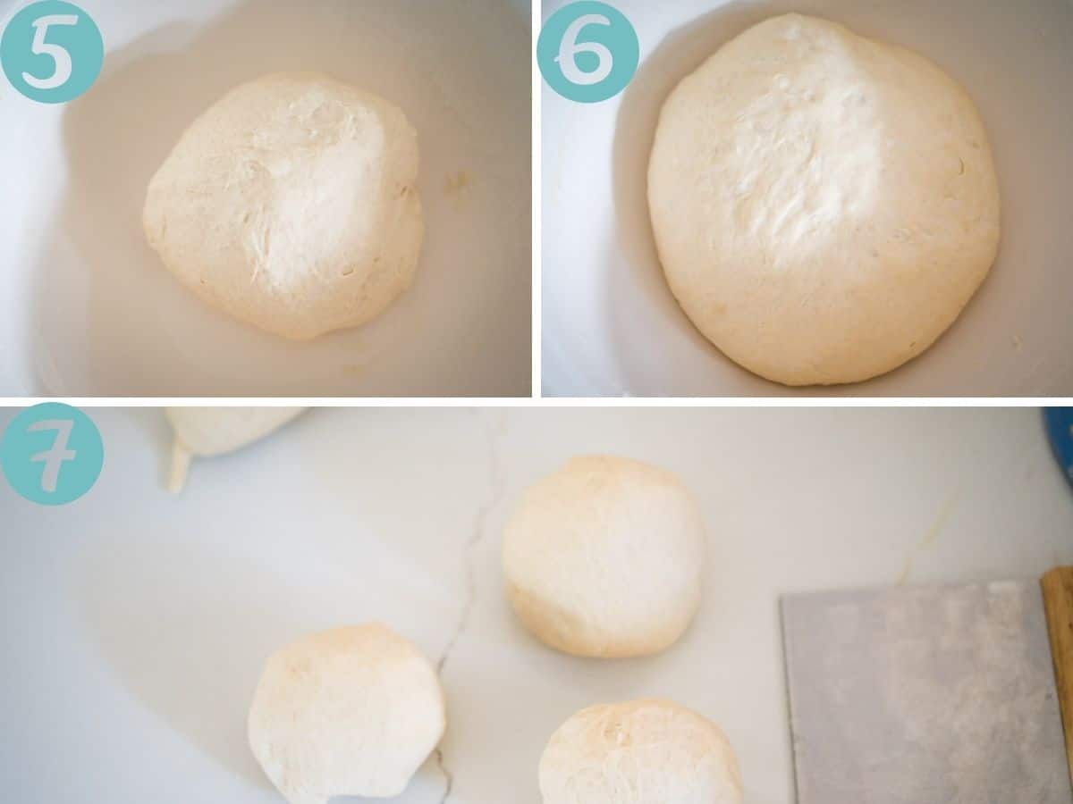 dough is elastic and soft, doubled in size, making rounds